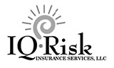iq-risk-logo
